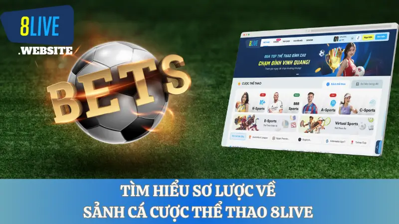 Tìm hiểu sơ lược về sảnh cá cược thể thao 8live 